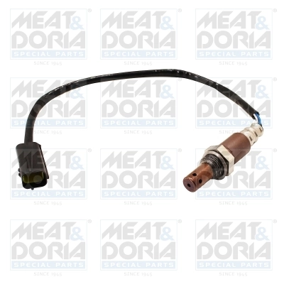 Oxygen Sensor